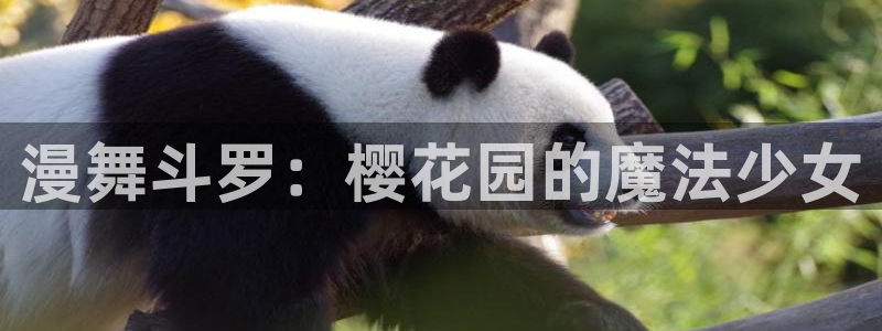 囧次元下载：漫舞斗罗：樱花园的魔法少女