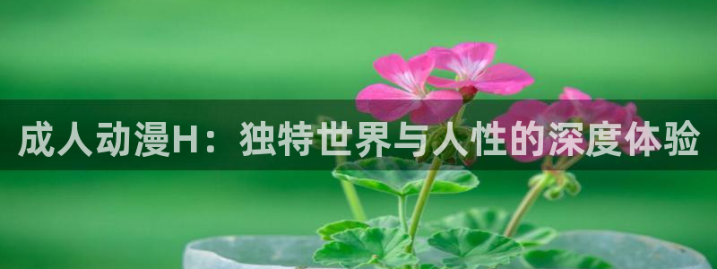 囧次元官方网站：成人动漫H：独特世界与人性的深度体验