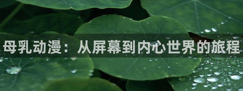 囧囧次元：母乳动漫：从屏幕到内心世界的旅程