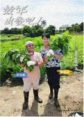 热门休闲综艺